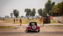 Masar 71 Rally